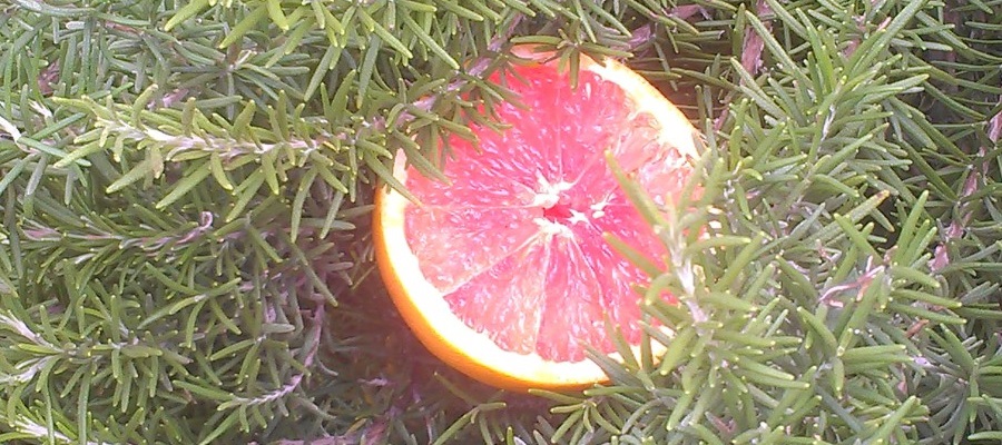 Grapefruit Rosemary